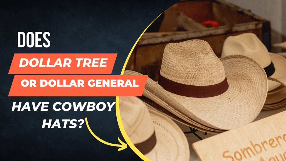 does dollar tree or dollar general have cowboy hats