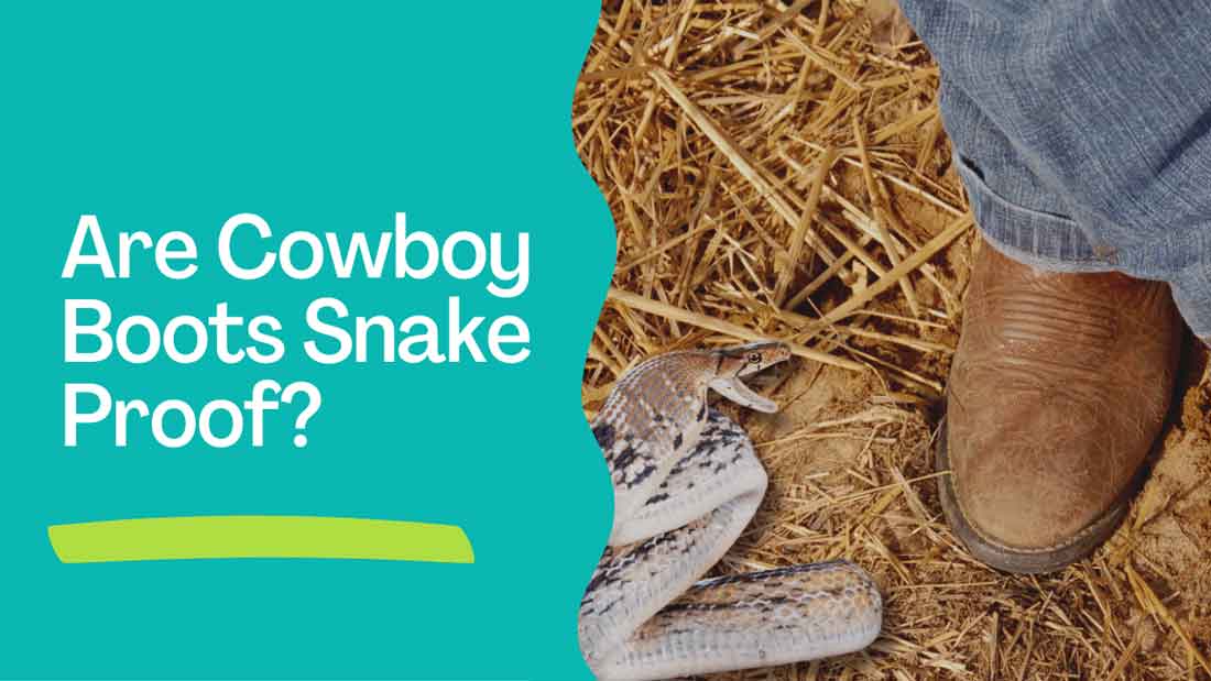 Are cowboy boots snake proof